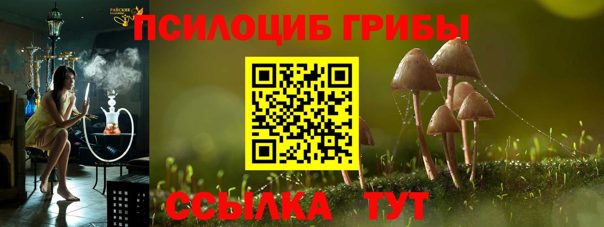 Галлюциногенные грибы GOLDEN TEACHER Обнинск